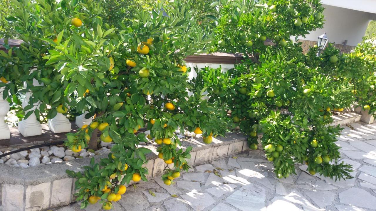 Sunny Apartment With Swimming Pool Stolac Екстер'єр фото